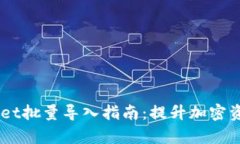 bTokenPocket批量导入指南：提升加密资产管理效率