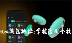 如何高效查询Ethereum钱包地址：掌握这几个技巧，