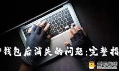 解决货币转帐至TP钱包后消失的问题：完整指南与