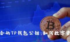 选择适合的TP钱包公链：如何数字资产管理