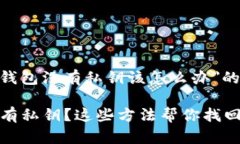 针对＂T P钱包没有私钥该怎么办＂的解决方案T