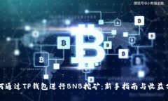 如何通过TP钱包进行BNB挖矿：新手指南与收益分析