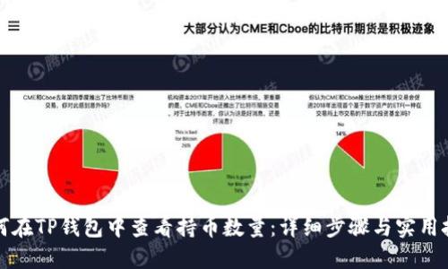 如何在TP钱包中查看持币数量：详细步骤与实用技巧